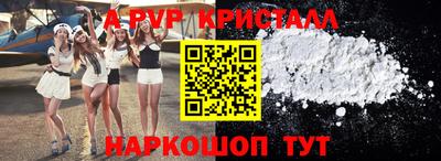 spice Вязники