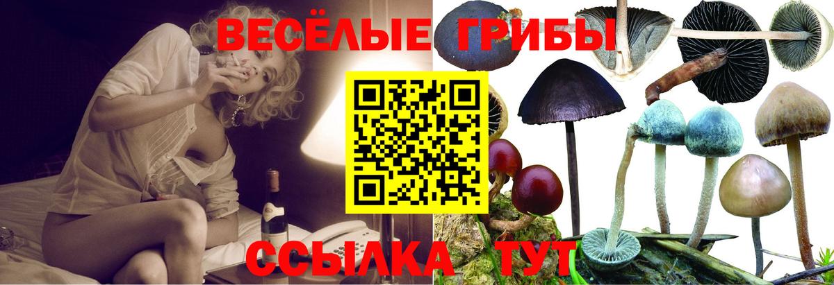 Галлюциногенные грибы Magic Shrooms Барабинск